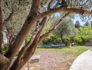 Corfu Dream Holidays Villas