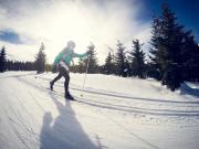 Top Svoboda nad Úpou