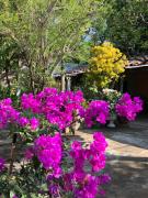 Top Suchitoto