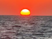 Top Barra de Navidad