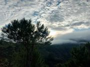 Top Sagada