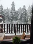 Borovets Violet by Ski slopes