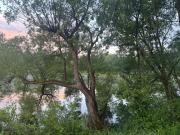 Top Sundern Top Sundern