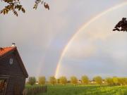 t Wilgennest, rust en gezelligheid gegarandeerd!