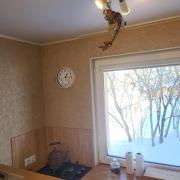 Top Daugavpils