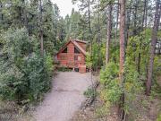 Top Indian Pine