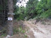 Top Balneario Sauce Grande