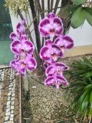 Apart Hotel em Botafogo