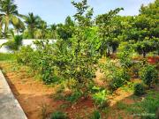 Top Puducherry Airpoert