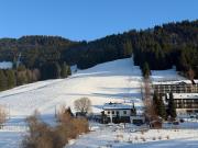 Ferienwohnung Pitzer