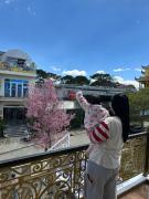 Sam Ha Phuong Boutique Da Lat