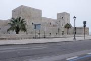 Top Trani