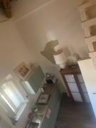 Top Senigallia
