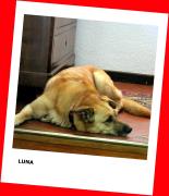 Top Bardonecchia Top Bardonecchia