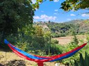 Top Montadamo