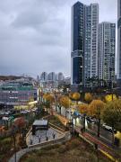 Top Seoul Top Seoul
