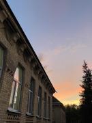 Відпочинок у будиночку серед хвойного лісу