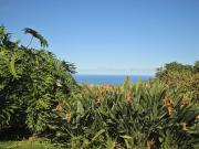 Top La Orotava
