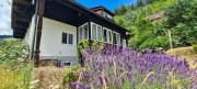 Top Semslach