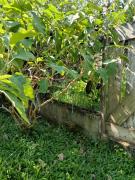 Refúgio Sereno São Seba