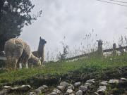 Top Sangolquí