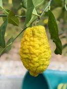 Top Limone sul Garda