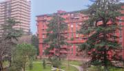 Top Milano