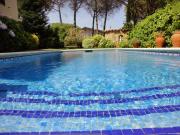 Top Santa Cristina dAro