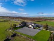 The Dog and Partridge