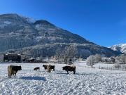Top Obervellach