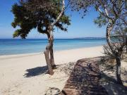 Alchimia Suite by Amarena Collection