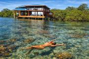 Top Bocas del Toro