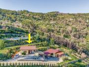 Top Laureana Cilento