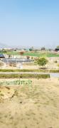 Top Pushkar
