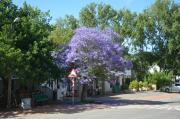 Top Greyton