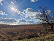 Ferienhaus Köhler am Walde, Urlaub mit Hund, Lütow