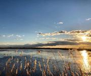 Top Saintes-Maries-de-la-Mer