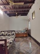 Lewis Homestay