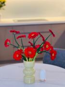 Top Phan Rang-Tháp Chàm