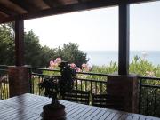 Top Licata