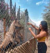 Top Marrakesz