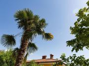 Apartment Wohnung in Lucija mit Garten by Interhome