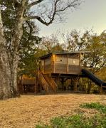 Top Sevierville