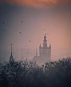 Top Gdańsk