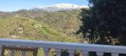 Top Torrox