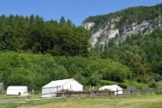 Top Nasswald