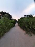 Top Mar de las Pampas