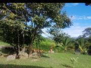 Top Guaduas