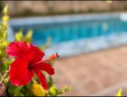 Sky & Sea View Apartment