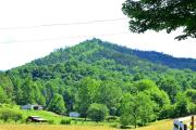 Top Canton